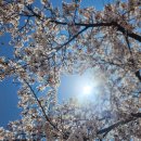 머무르다 이미지