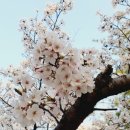 구드래조각공원 분수대 이미지