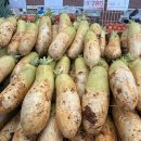 엔마트 군산점 이미지