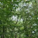 추억여행 이미지