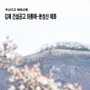 김해 분성산 매화산행 (김해건설공고 와룡매) 이미지