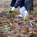 동오농장 이미지