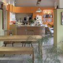 오렌지 칠(orange chill) 이미지