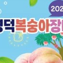 예주농장 이미지