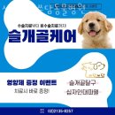 상일 쓰담쓰담 동물병원 | 강동구 상일동 동물병원 상일쓰담쓰담동물병원 위치 오는길 후기