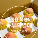 농부의 열매 | 선물용 복숭아 추천! 안동 청년농부들의 정성, ‘농부의 열매’ 프리미엄 복숭아 내돈내산 택배주문 후기