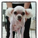 북부시장 사거리 이미지