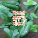 펀 이미지