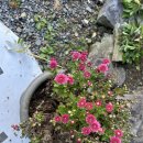 마음애고향 이미지