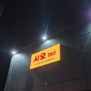 카페.시오 | 파주 탄현면 카페 시오 | 소금빵 샌드위치 맛집 솔직후기 (내돈내산)