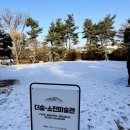 소전미술관 | 경기 시흥 | 소래산 근처 작은 미술관과 북카페 <더숲 소전미술관> 방문 후기