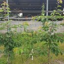 별샘농장 이미지