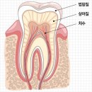 언제나치과의원 이미지
