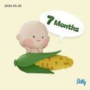24W~27W_슬슬 아기 맞이 준비, 나들이, 사설 초음파