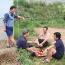 삼인농장 이미지