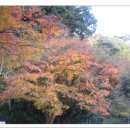 적거농장 이미지