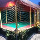 맑은농장 이미지