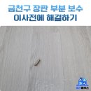 주안현대홈타운 | 금천구 찢어진 장판 티안나게 보수 업체 후기