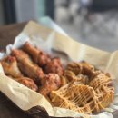 히포벨 | 함덕 반려견 동반 분위기 좋은 카페 / 히포벨