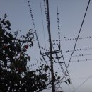 가천경로당 이미지