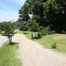 문라이트 이미지