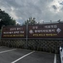 통돼지와도토리