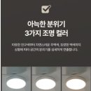 이지 라이트