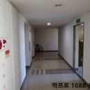 그대가프리미어 이미지