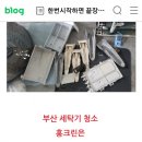 홍크린 이미지