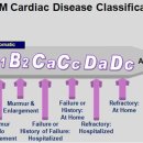 탑스동물메디컬센터 이미지