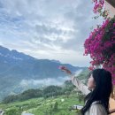 세희농장 | in Vietnam :: 4day