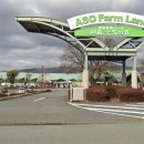 아소팜 | 아소팜랜드(아소팜빌리지) 동물원, 키즈카페, 뷔페(런치) 방문 후기