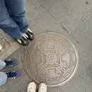 [육아일기] 정신없이 돌아다닌 한 주 • 울애기 900일...2026 • 서울숲나들이 • 당도 • 과수원프로젝트