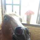 벌교읍사무소 이미지