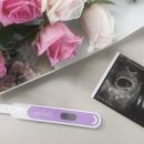 목포미래병원 | 광주 시엘병원에서 미래와희망으로 전원 후 인공수정 성공, 병원 진료 스타일 비교(지극히 개인적)