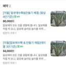 은하수농장 | 경기도 화성 은하수농원 아열대마을 알로에 체험