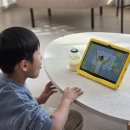 학부모 수학 스토리텔링 | “5세~7세 수학은 이렇게” 유아 학습지 엘리하이키즈, 사고력 수학 콘텐츠 주목, 5세 학습지 추천