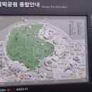 "'올림픽공원' 일부(몽촌토성 산책로) 산책"＜2022.10.24(월)＞ 이미지