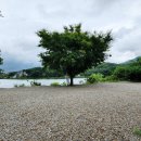 히든캠프 이미지