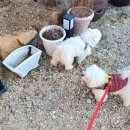 주막식당 이미지