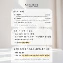 🌸 ‘굿무드플라워’ 촬영 + 본식 부케 패키지