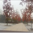 동패중학교 건너 이미지