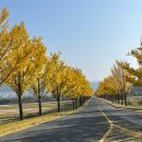 통일전 | 경주 단풍은행명소 통일전 버스 주차 실시간 후기