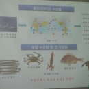 영덕 수산물 전복 이미지