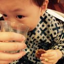 토마토부폐 이미지