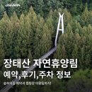 용태울 | 대전 근교 장태산자연휴양림 숙소 예약 숲속의집 후기 정리, 등산코스 포토존 및 주차 정보!