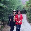 곰골산촌 이미지