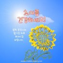 (유)하이얀 이미지