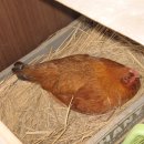 세심농장 이미지