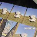 깡s스토어 | 경주 황리단길 미피스토어🐰